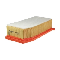 FILTRON AP 133/5 (A-Renault 165467674R, 5904608061331) AP1335