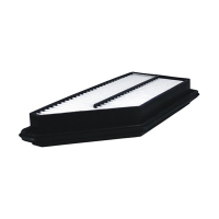FILTRON AP 163 (A-845, 17220P13000, 5904608001634) AP163